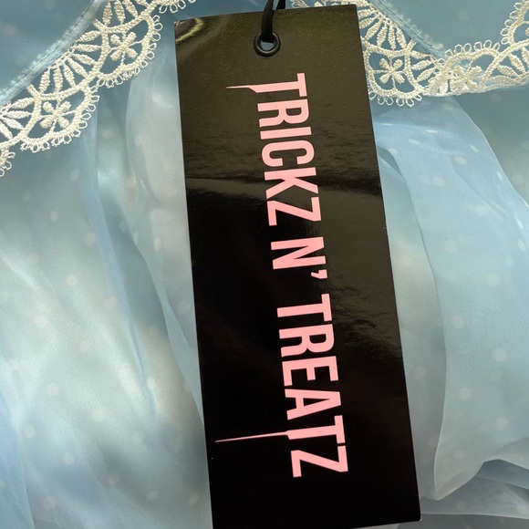 NWT Dolls Kill Blue and White lace with Pink Rose mini Dress - Picture 6 of 7